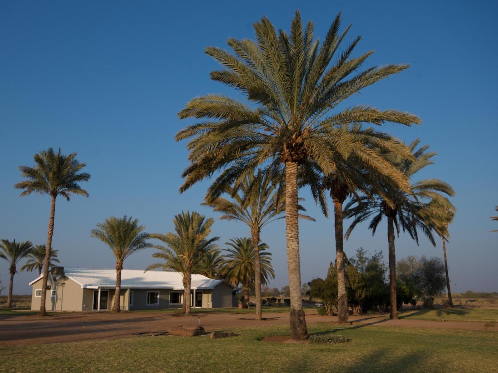 Flying Ostrich Guesthouse & Self-Catering Accommodation Mariental Esterno foto