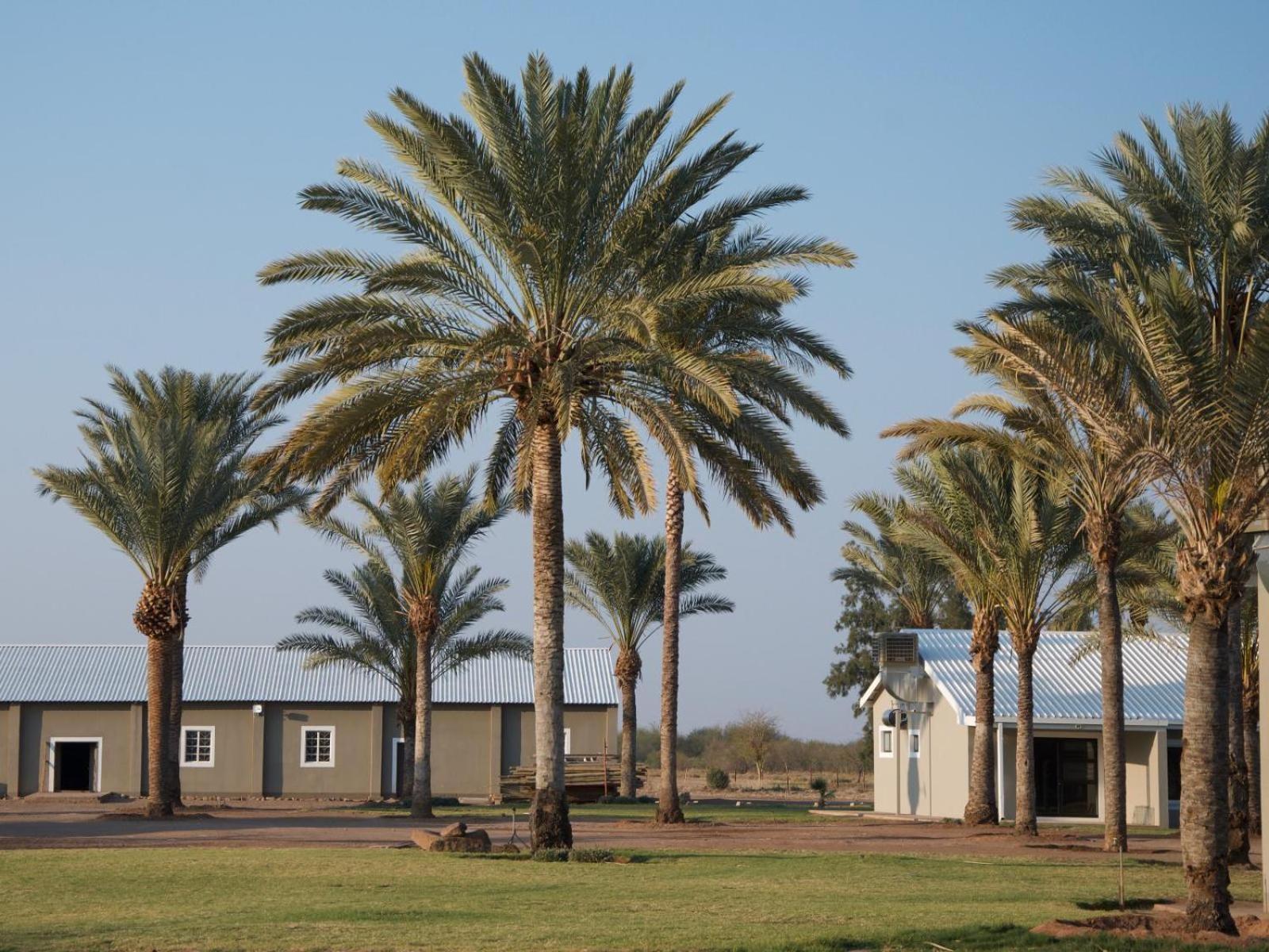 Flying Ostrich Guesthouse & Self-Catering Accommodation Mariental Esterno foto